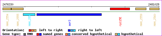 gene map