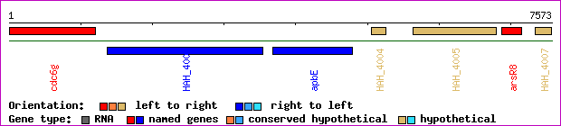 gene map