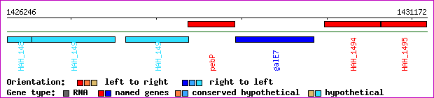 gene map