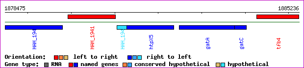 gene map