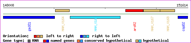 gene map