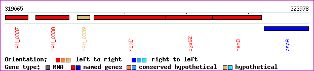 gene map