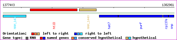 gene map