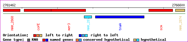 gene map