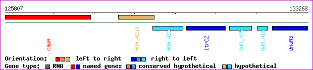 gene map