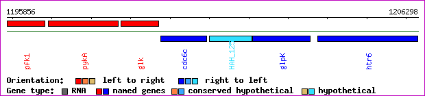 gene map