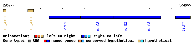 gene map