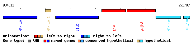 gene map
