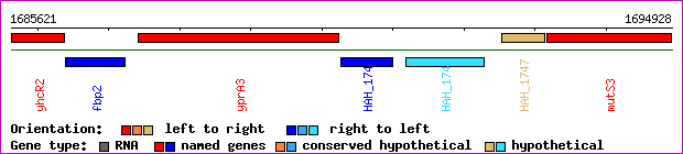 gene map