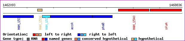 gene map