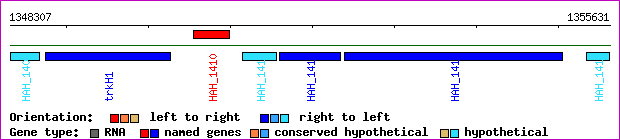 gene map
