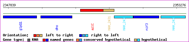 gene map