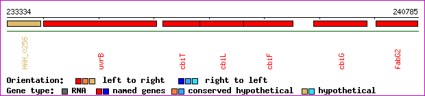 gene map