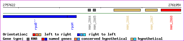gene map