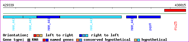 gene map