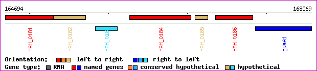 gene map