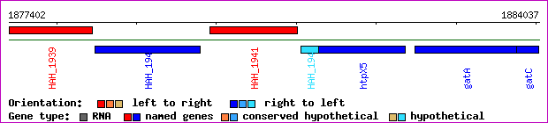gene map