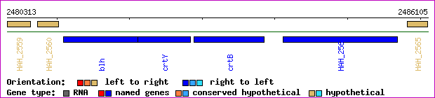 gene map