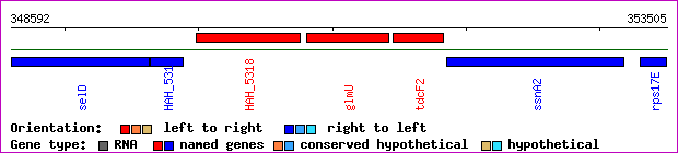gene map