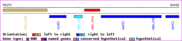 gene map