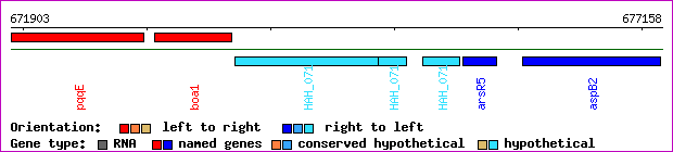 gene map
