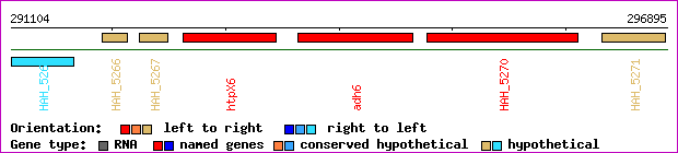gene map