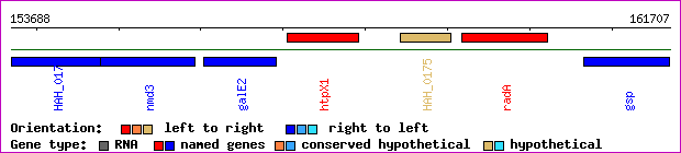 gene map