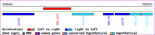 gene map