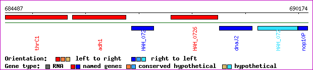 gene map