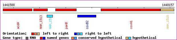 gene map