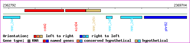 gene map