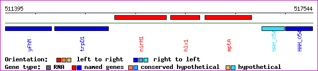 gene map