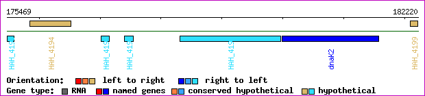gene map