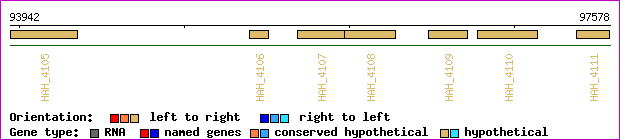 gene map