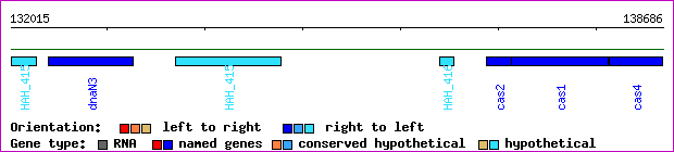 gene map