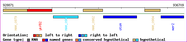 gene map