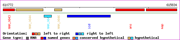 gene map