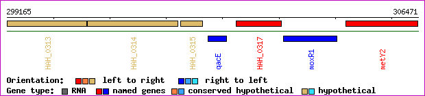 gene map