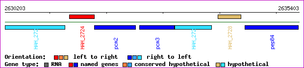 gene map