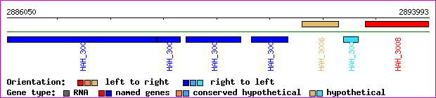 gene map