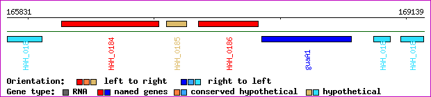 gene map
