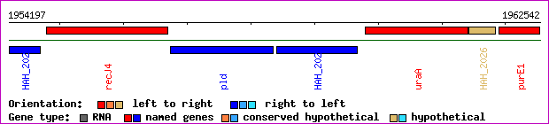 gene map