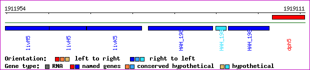 gene map