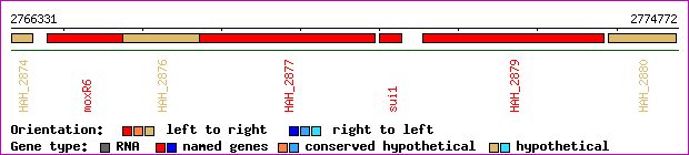 gene map