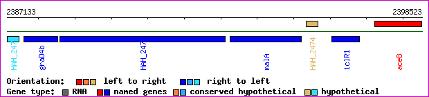 gene map