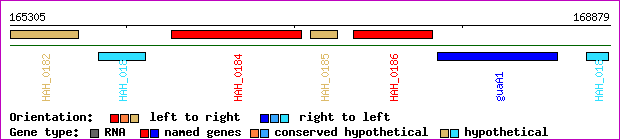 gene map