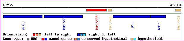 gene map