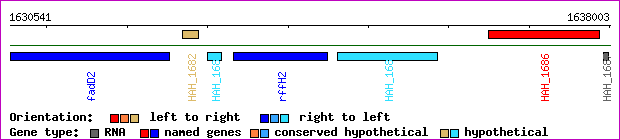 gene map