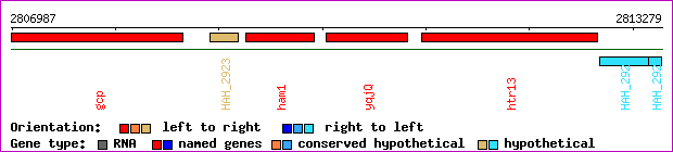 gene map