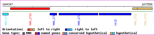 gene map